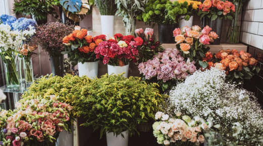 Buy flowers online in Delhi