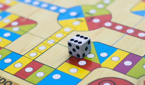 Ludo earn money