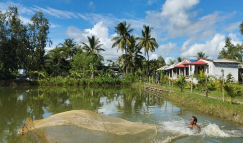 Sundarban travels