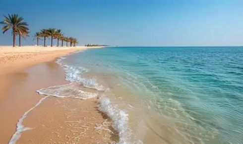 Saudi-Arabia.be
